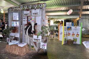 Farm Shed