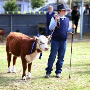 Waroona Show Maps