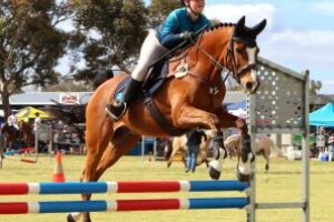 IMG_1116_Horse_jumping-6-Bar-297x300