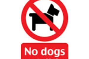 No Dogs 1