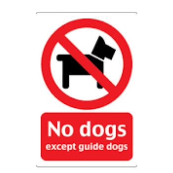 No Dogs 1