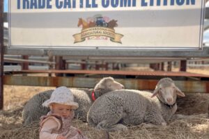 Adeline & sheep a crop (2)
