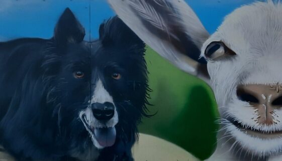 Animal Antics new Mural (2) Animal Antics new Mural (2)