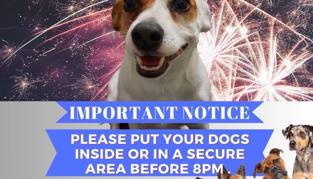 Dogs and Fireworks vs 2