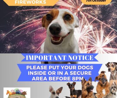 Dogs and Fireworks vs 2