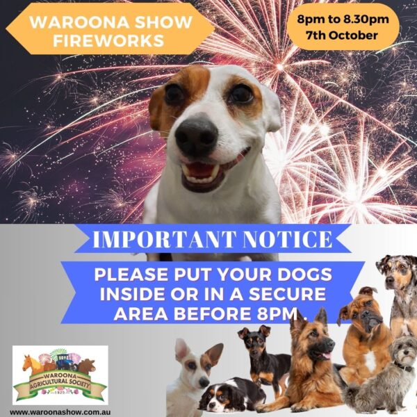 Dogs and Fireworks vs 2