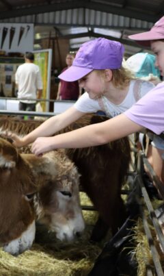 Donkeys Farm Shed