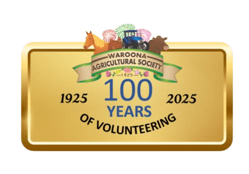 100 Year Logo - 1 - Edited