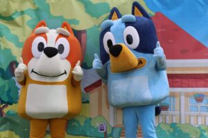 Bluey and Bingo