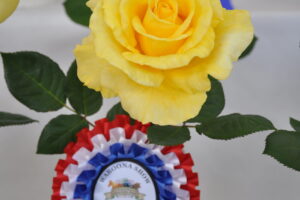 Rose of the Show 2025 Rose of the Show 2025