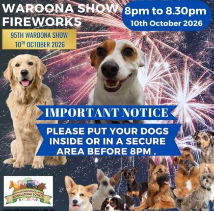 Dogs and Fireworks (3) Dogs and Fireworks (3)