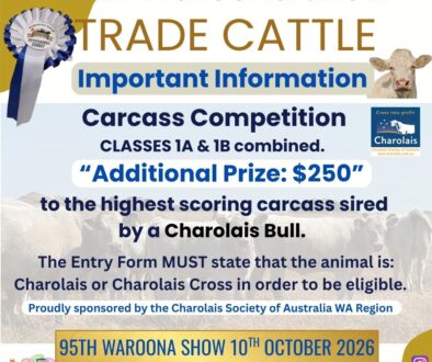 Trade Cattle update