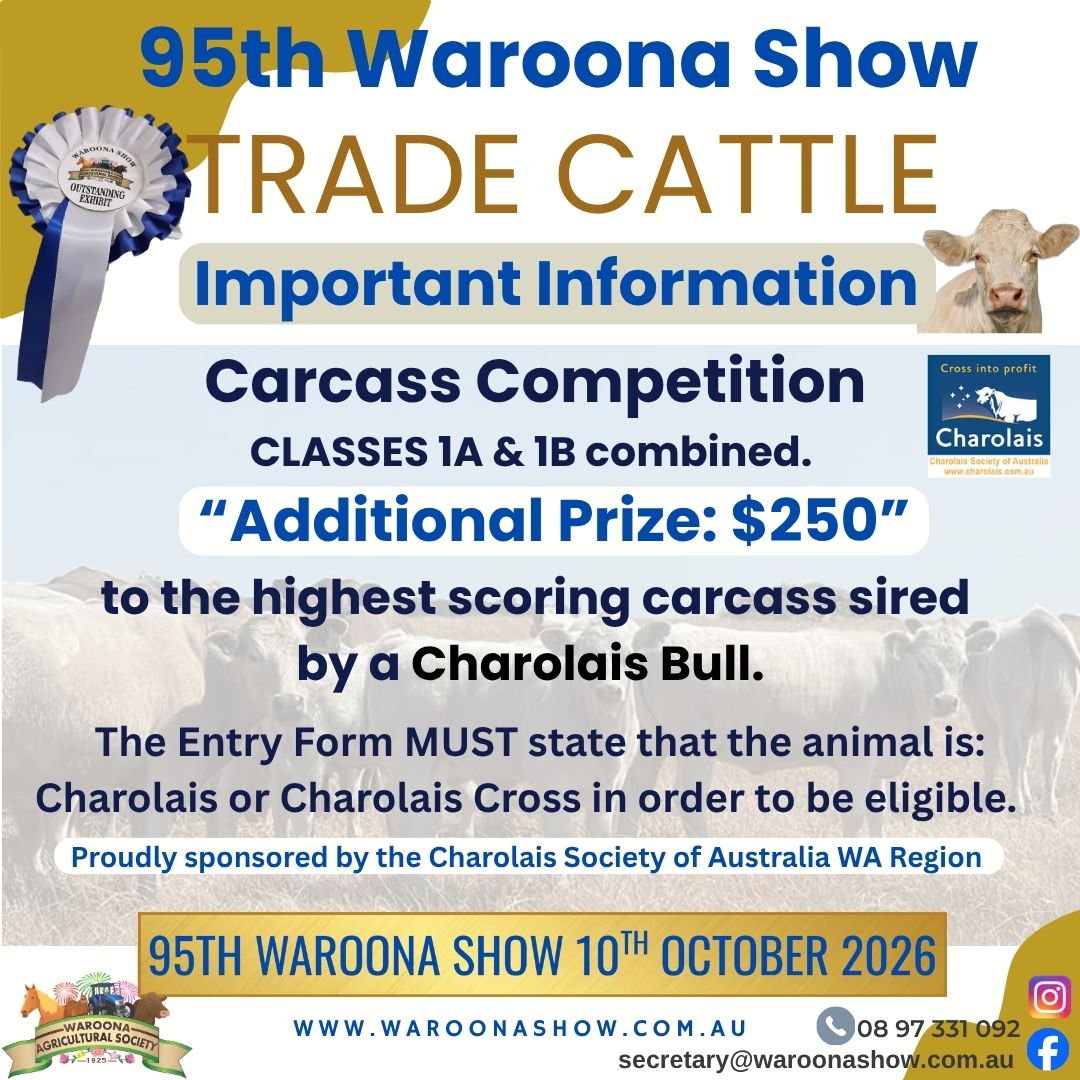 Trade Cattle update
